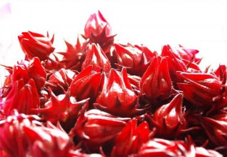 7 BENEFITS OF HIBISCUS TO HUMAN’S HEATH